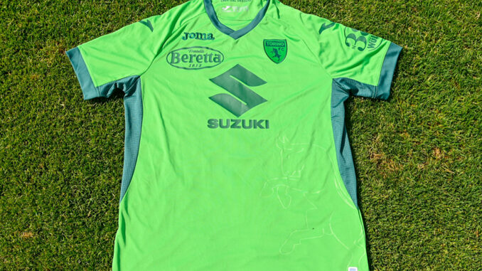 Torino camisa verde chapecoense Torino camisa verde chapecoense